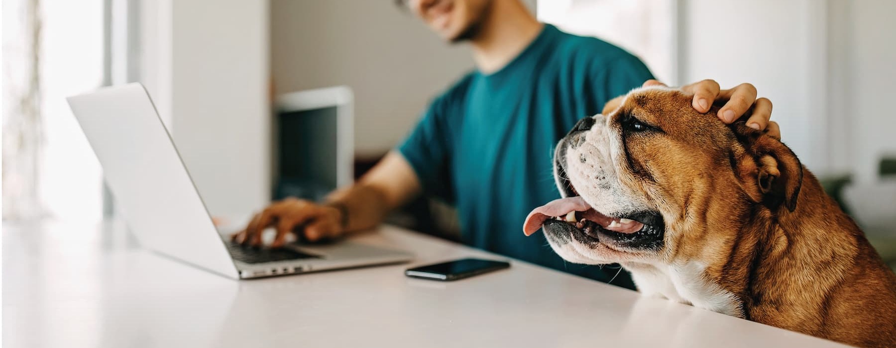 lifestyle image of a man working on a laptop beside his dog